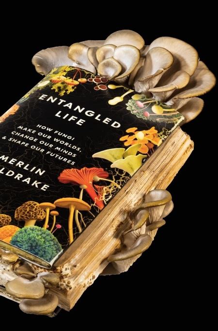 Exploring the Parallel Worlds: The Magic of 'The Magic of Mushrooms' Book